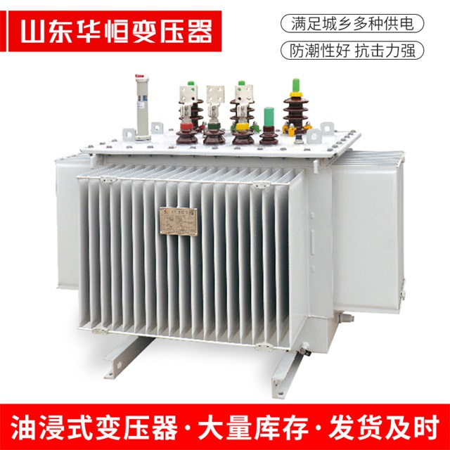 S13-10000/35子长子长子长电力变压器